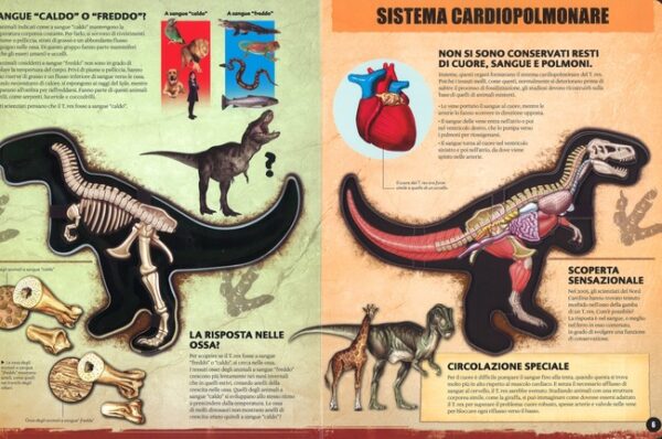 foto di una pagina del libro. Nella figura il particolare del sistema cardiopolmonare