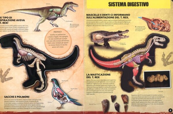 foto di una pagina del libro. Nella figura il particolare del sistema digestivo